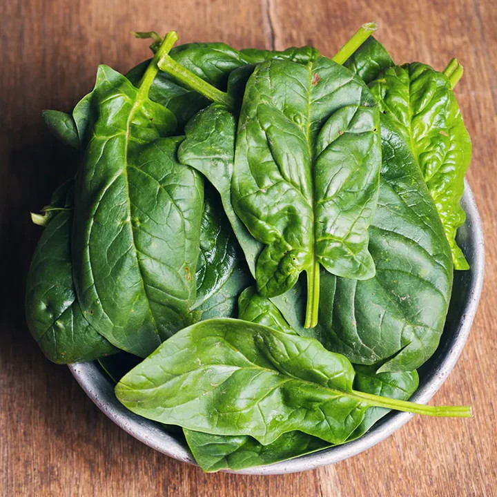 Noble Giant Spinach Seeds | Slow Bolting ColdyHardy Green Leaf Lettuce Seed 2024
