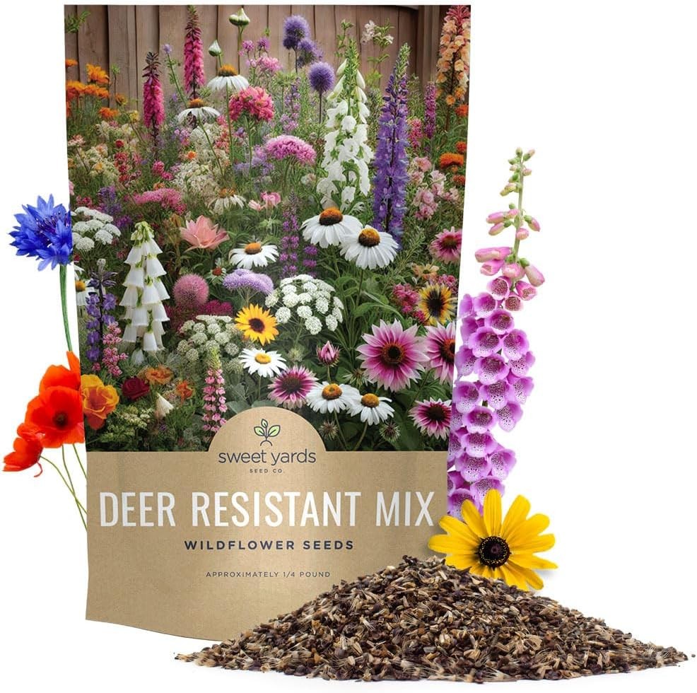 Deer Resistant Wildflower Seed Mixture – Bulk 1/4 Pound Bag – Over 60000