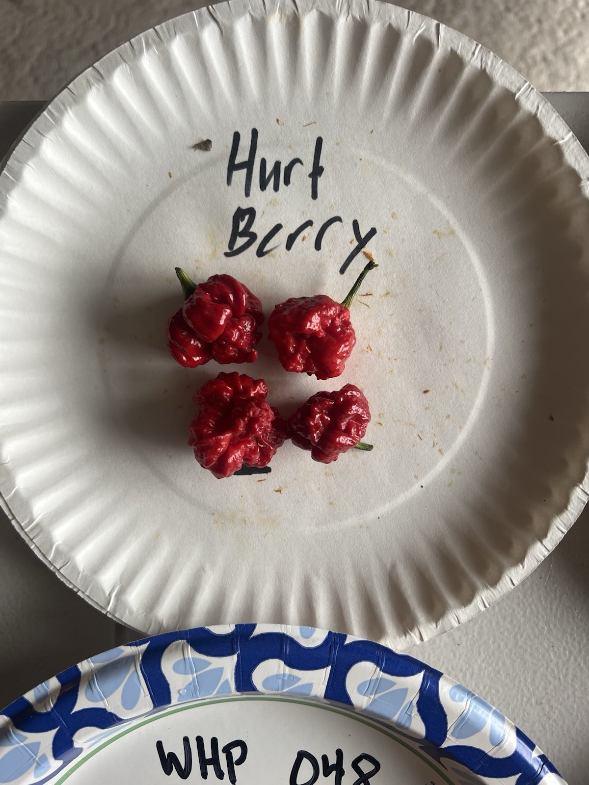Hurt Berry Hot Pepper Seeds 15+ Per Pack