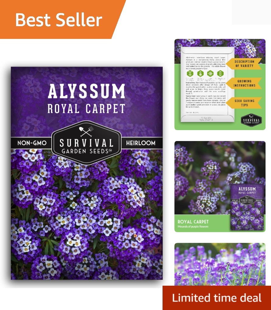 Low Maintenance Alyssum Seeds – Heirloom Purple Variety for Eco-Friendly Gardens