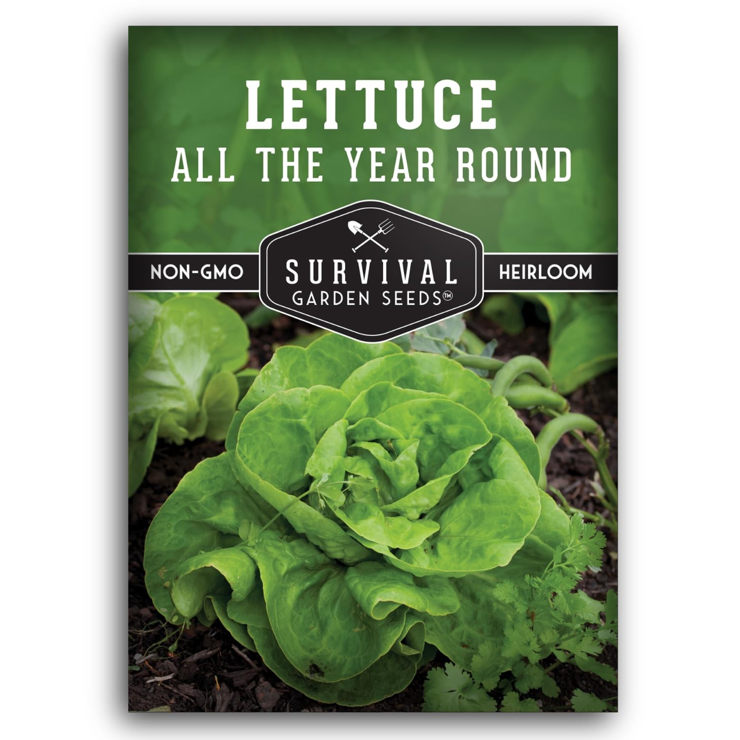 All The Year Round Lettuce Seeds for Planting – Slow-Bolting Butterhead Varie…