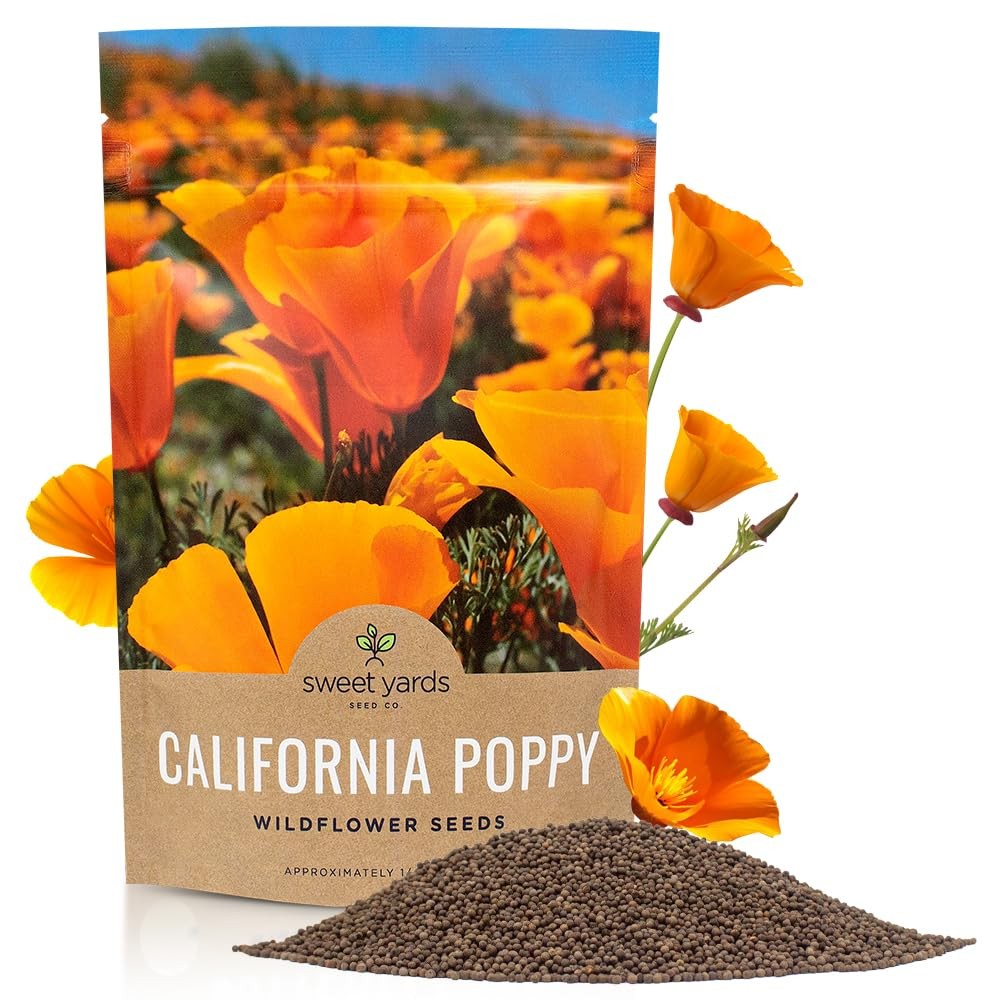 California Orange Poppy Wildflower Seeds Bulk 1/4 Pound Bag Over 80,000 Nat…