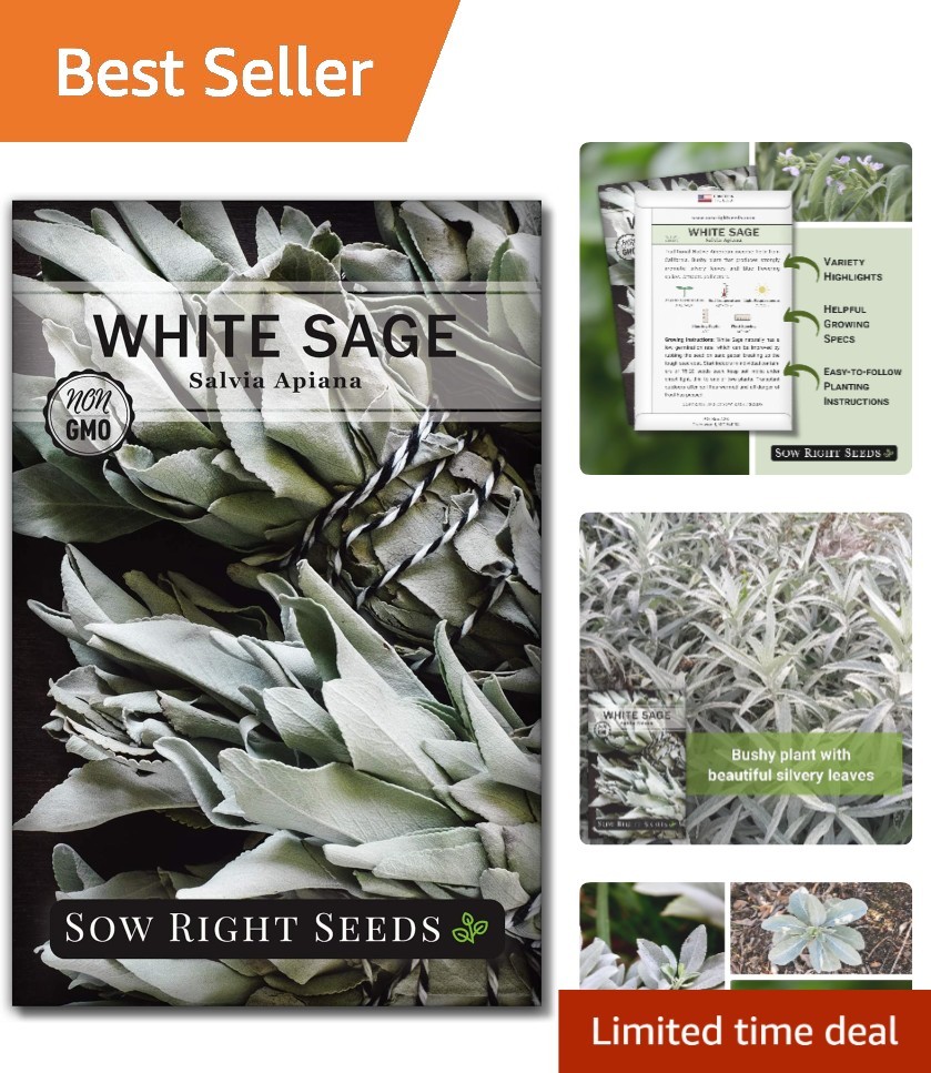 Plant Your Own White Sage Seeds Non-GMO Heirloom Fragrant Herb Gardening