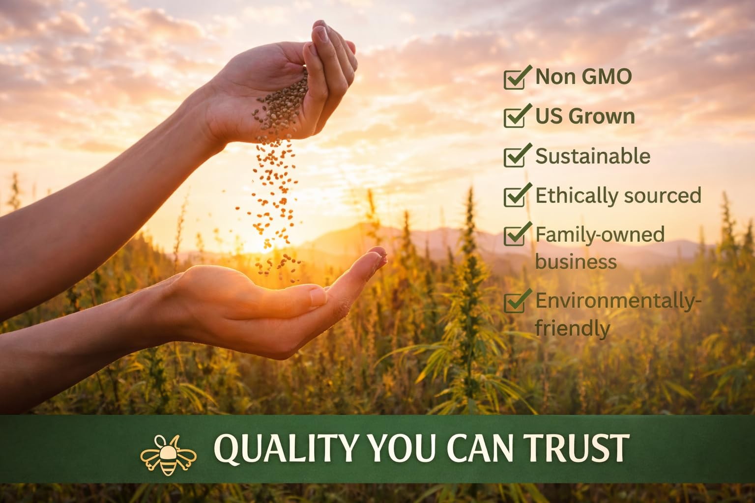 Alabama Bulk Perennial and Annual Non-GMO Wildflower Seed Mix 1/4lb Covers 50…