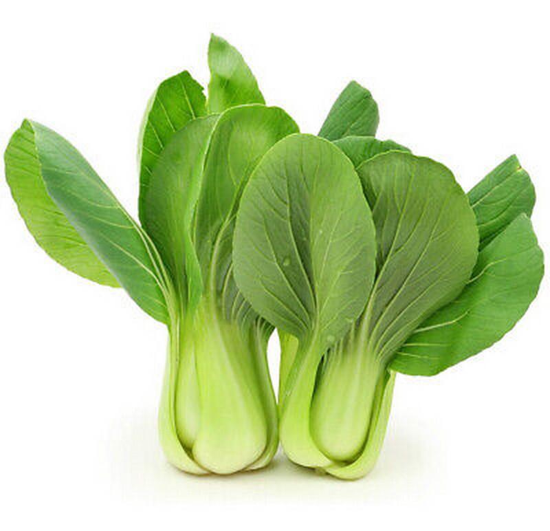 250 Little Shanghai Pak Choi Cabbage Seeds Bok Choy, Asian Greens, NON-GMO