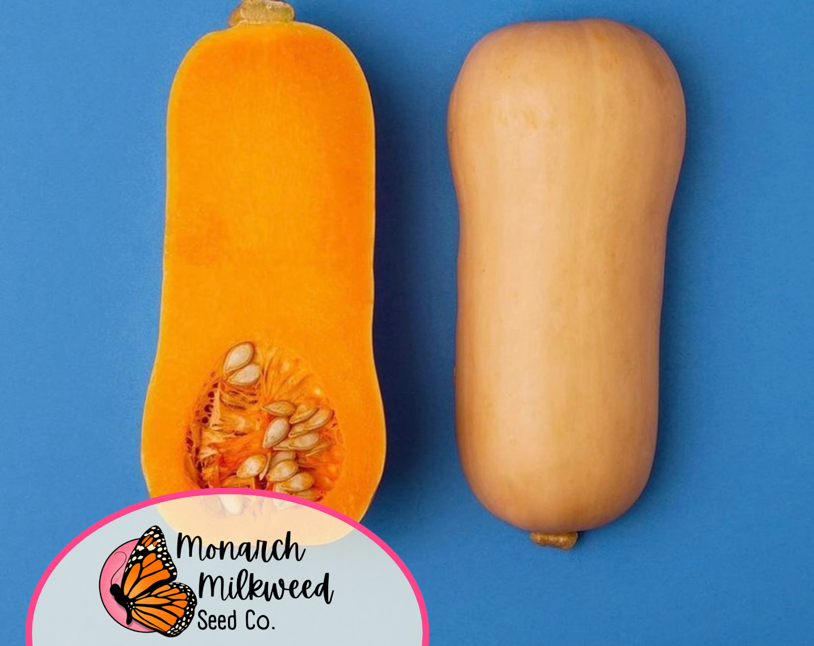 75+ Butternut Squash Seeds | Heirloom, Non-GMO, Vegetable Gardening Seed Packet