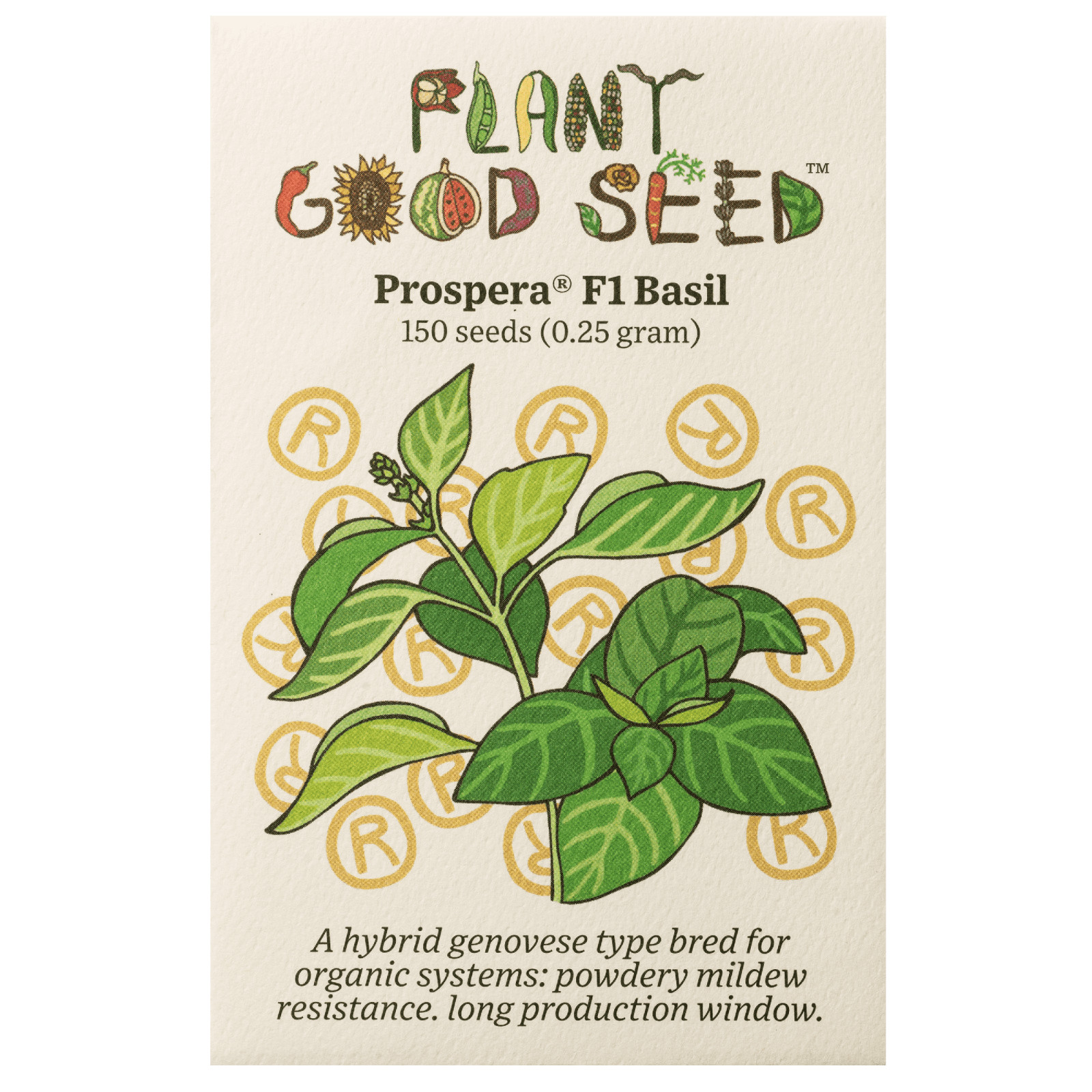 Prospera F1 Green Basil Seed Packet: 150 Seeds, Hybrid Organic Disease Resistant
