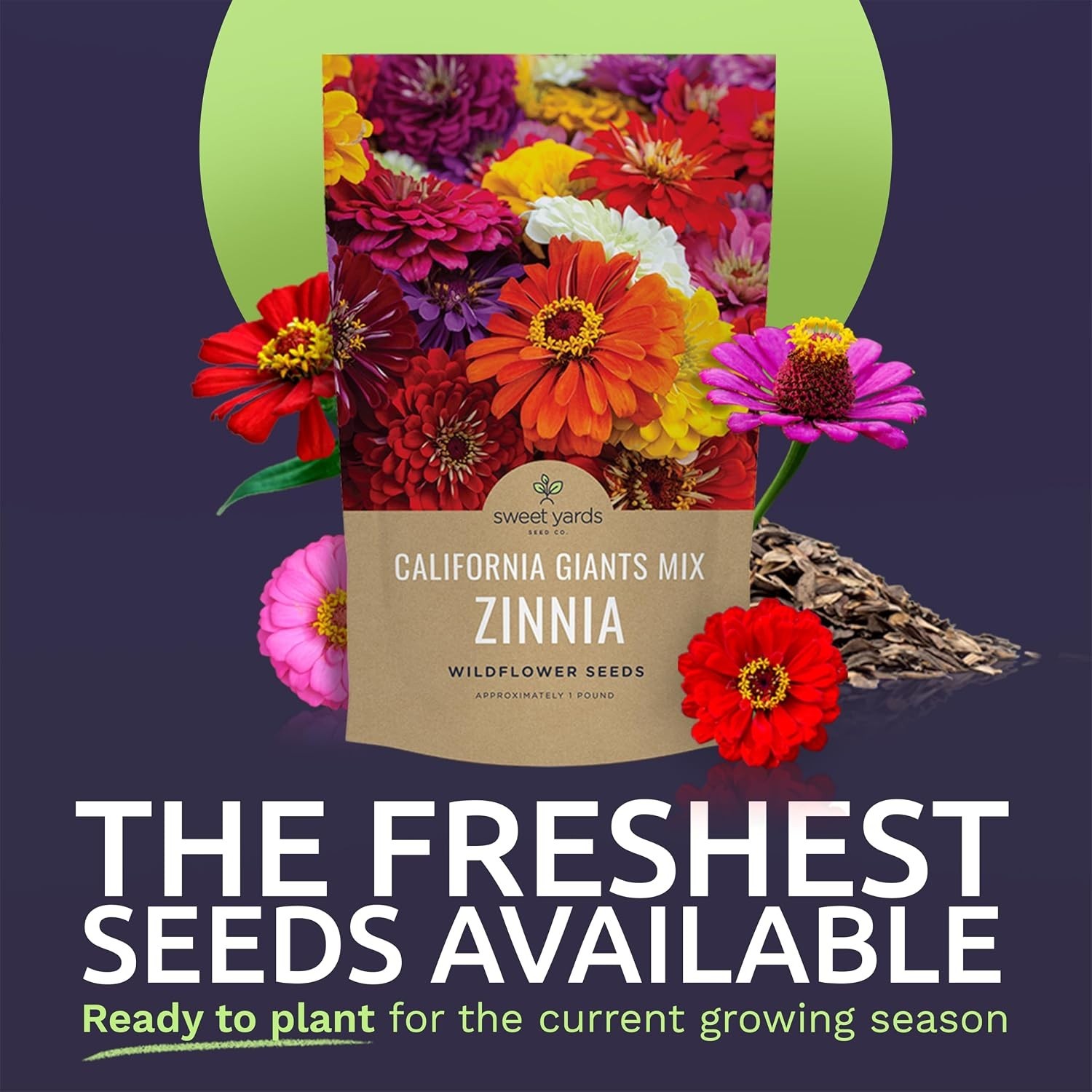 Zinnia Seeds – California Giants, 1lb