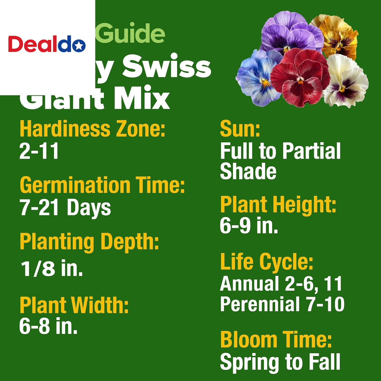 Pansy Swiss Giants Mix – 1,500 Flower Seeds (2.13G) – Fall Planting Pansies Seed