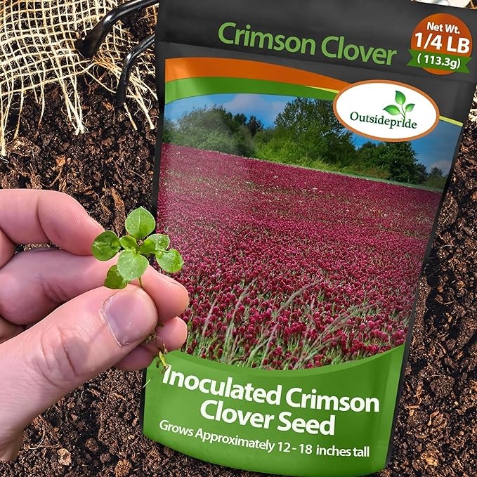 2 LBS – Inoculated Bulk Crimson Clover Seed For Planting Pastures, Cover