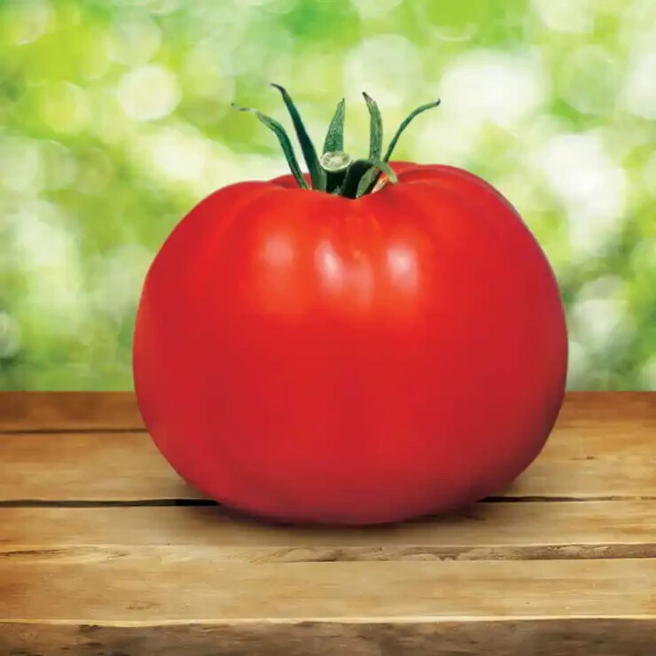 30 Seeds Park’s Whopper Tomato Hybrid Vegetable Garden Planting Tomatoe USA