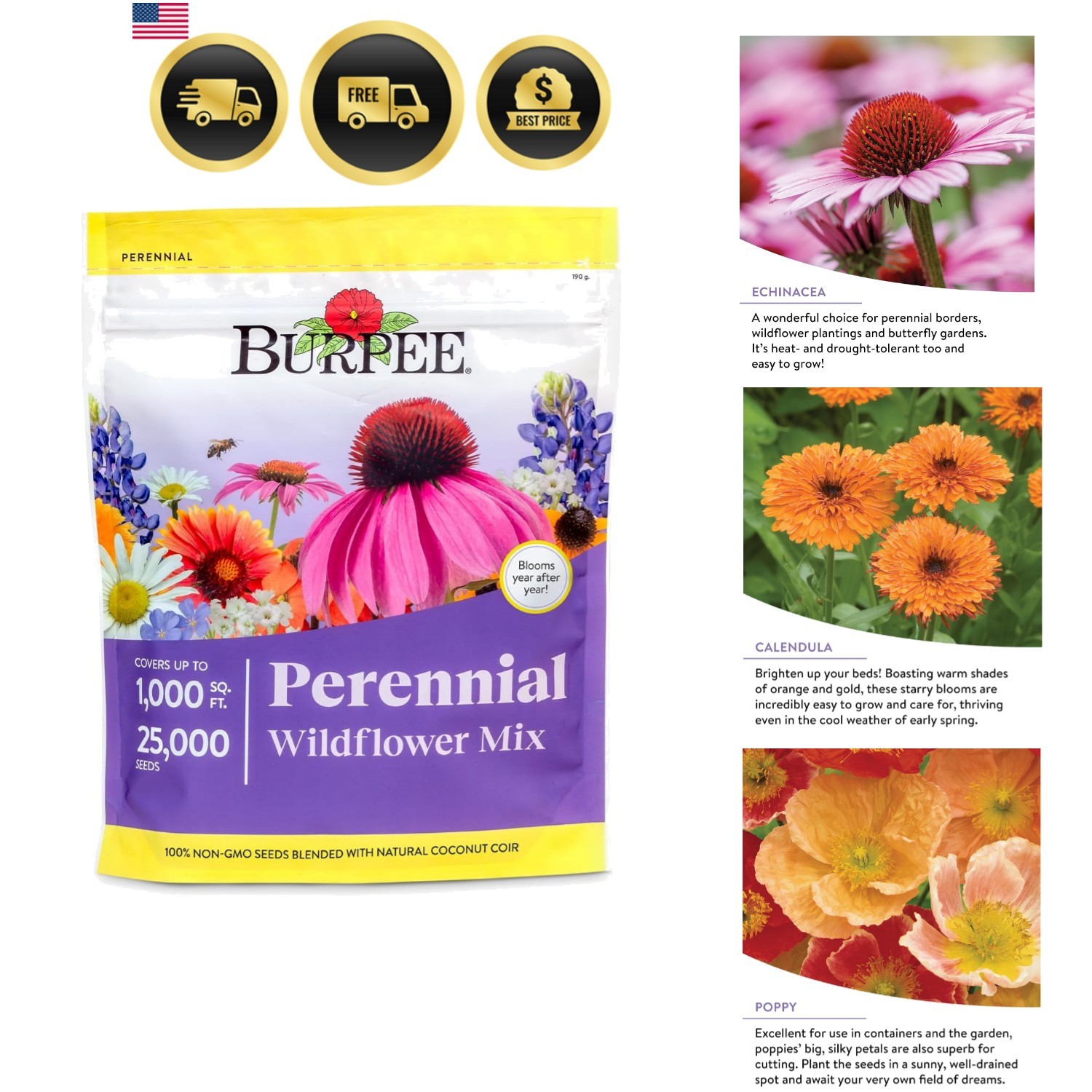Wildflower Seeds Bulk 25000 Non-GMO Perennial Mix for Pollinator Gardens
