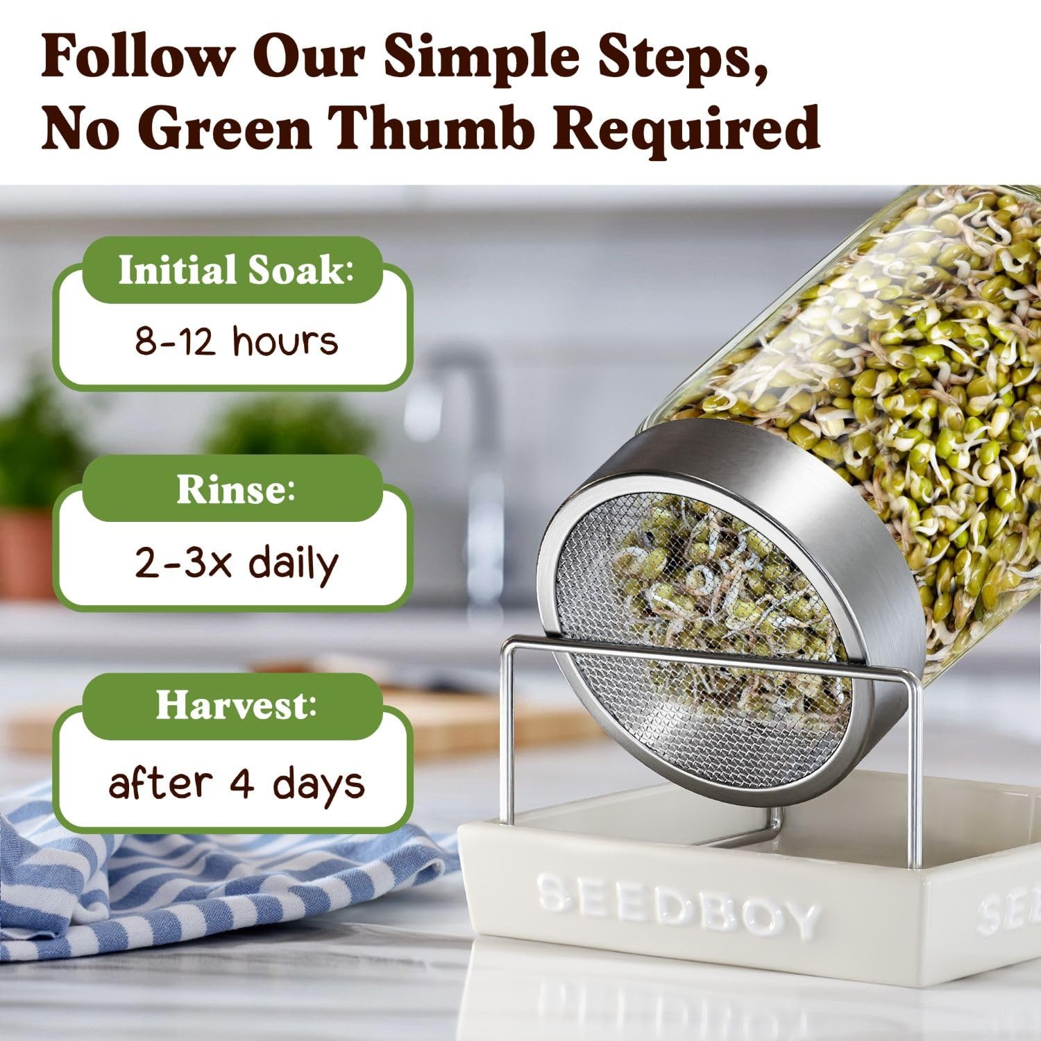 Organic NonGMO Mung Bean Seeds for Sprouting 8 oz Bag, 24 Servings