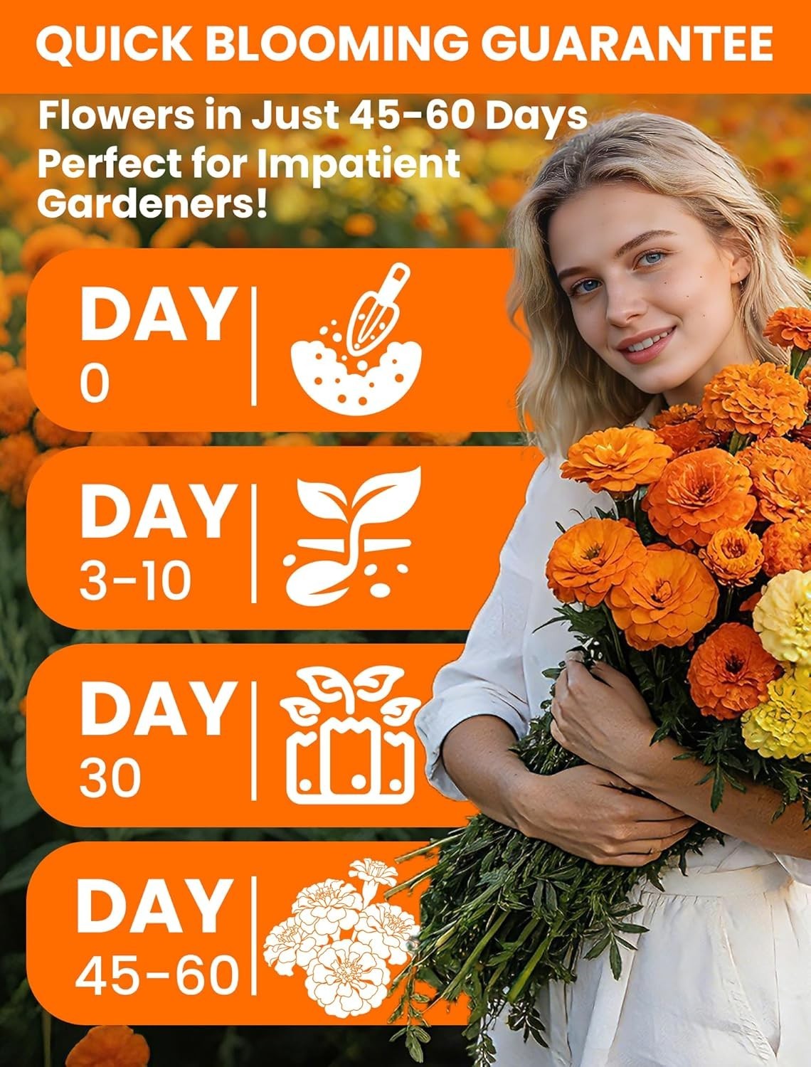 Tri-Color Marigold Seeds for Planting | 15,000+ Heirloom French Marigold Flower