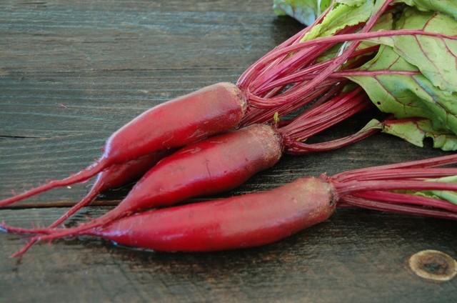 Beet Seed: Cylindra Beet Seed Fresh Seed FREE Shipping