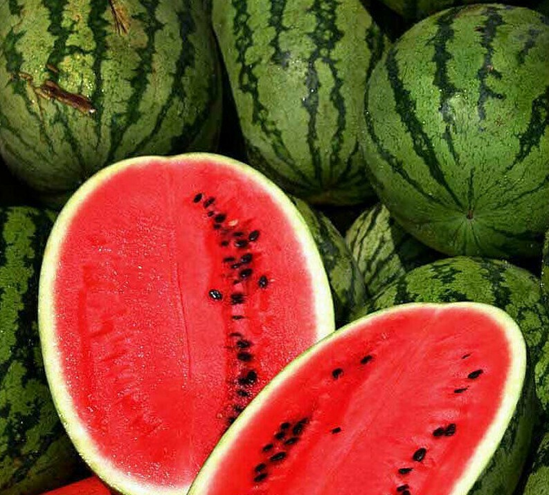 ALL SWEET WATERMELON SEEDS 20+ garden FRUIT AVG WT 25-35 LBS FREE SHIPPING