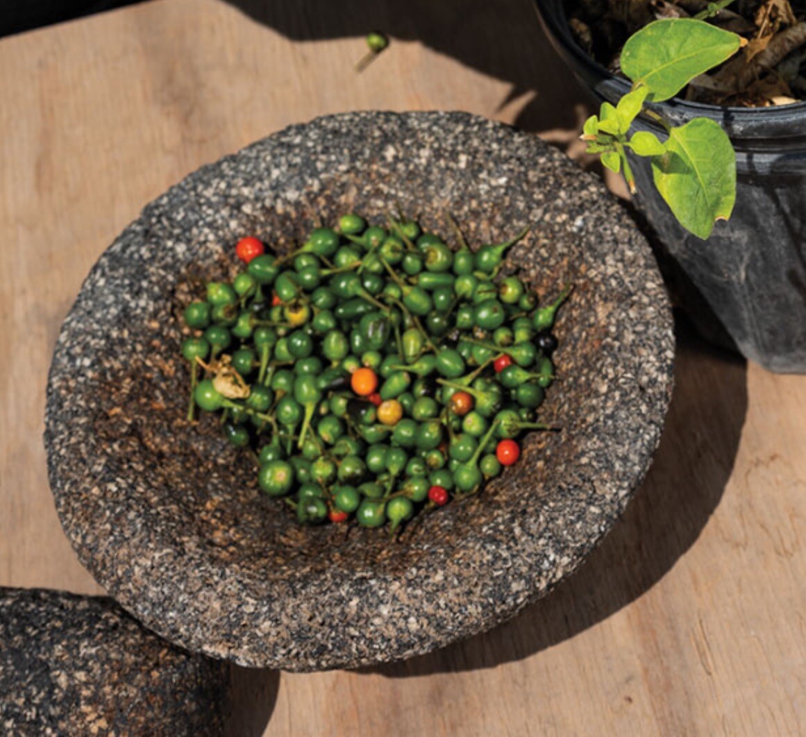 100 Semillas De Chile Piquin cheltepin Tepequin -Salsa Picosa De Molcajete 🌶️🔥