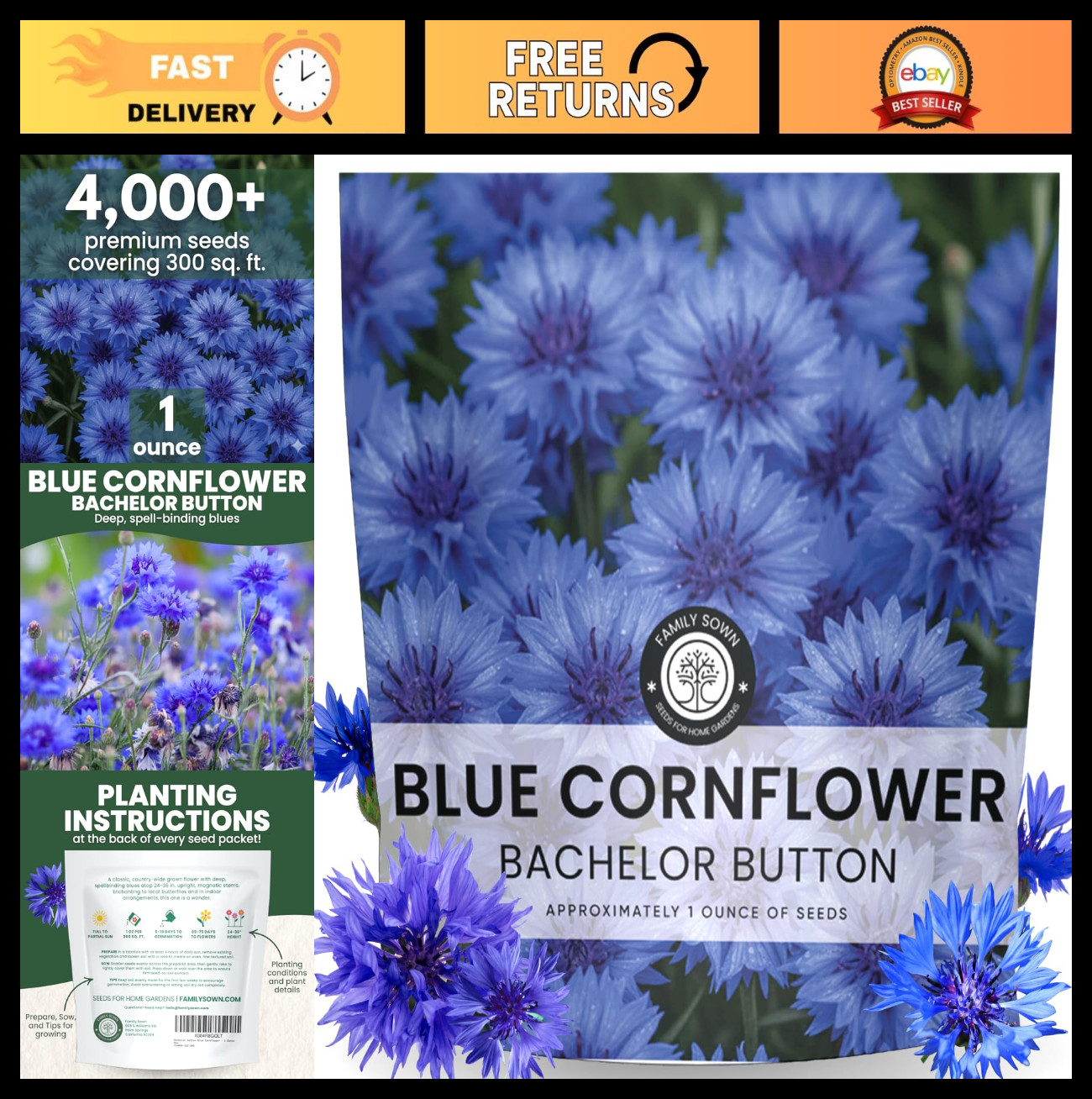Blue Cornflower Seeds – 4,000 Premium Seeds for Planting – 1 Ounce Pouch, 2026
