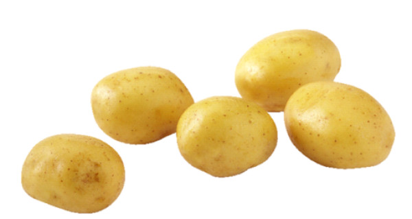Rawjoy Butter Golden Yellow Potato (50 lbs)