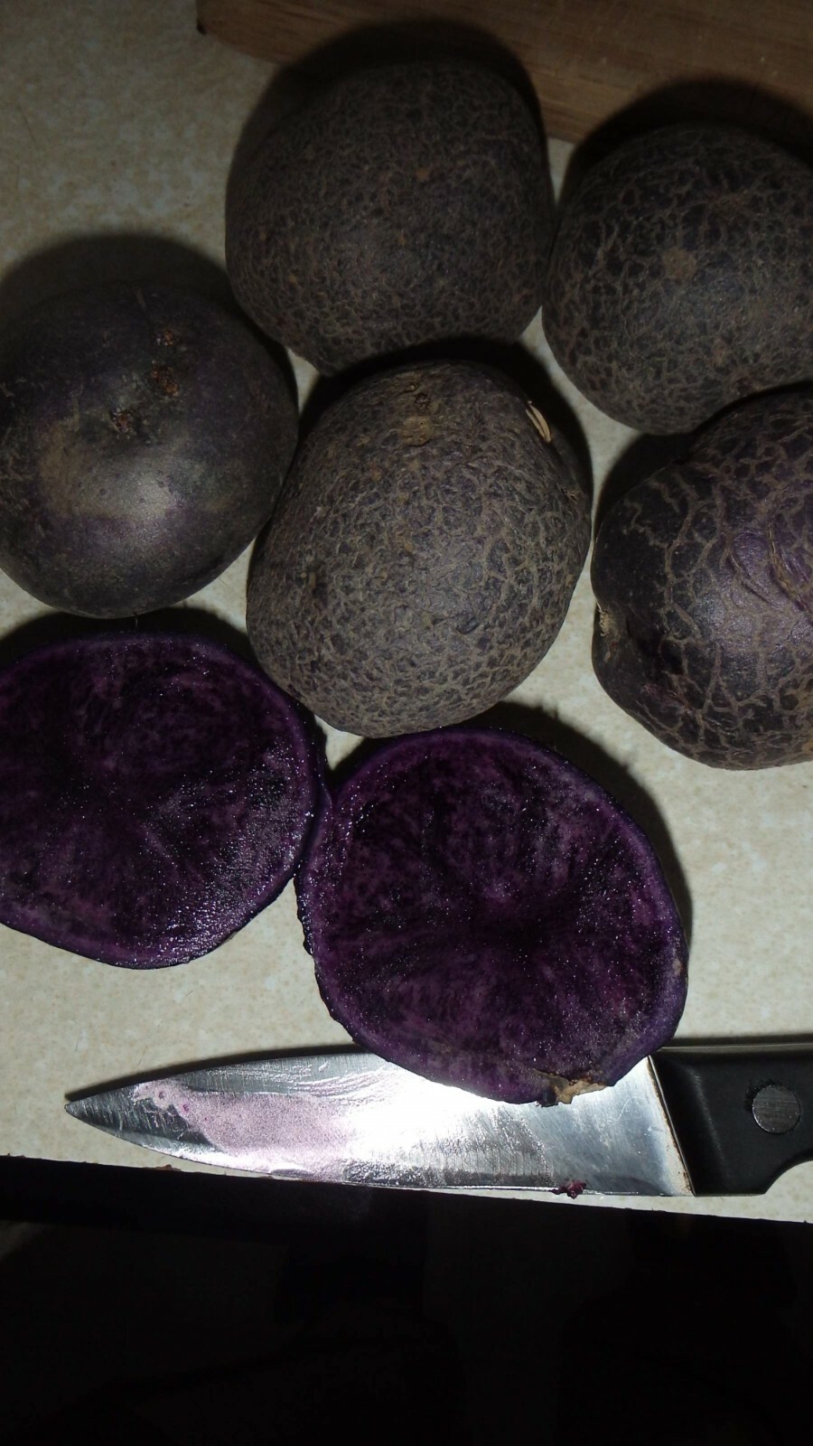 ORGANIC All Blue 5 Potato tubers, Purple Potato Solanum tuberosum Unique garden