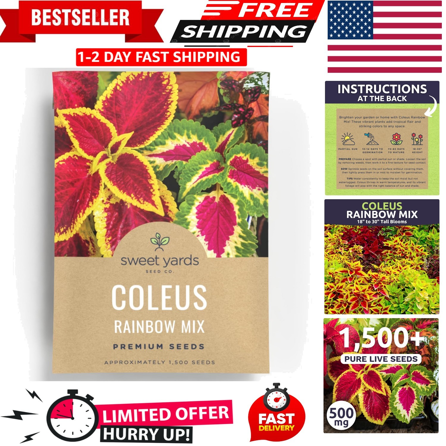 Coleus Rainbow Mix – Large 500mg Envelope with 1,500 Vibrant Flower Seeds