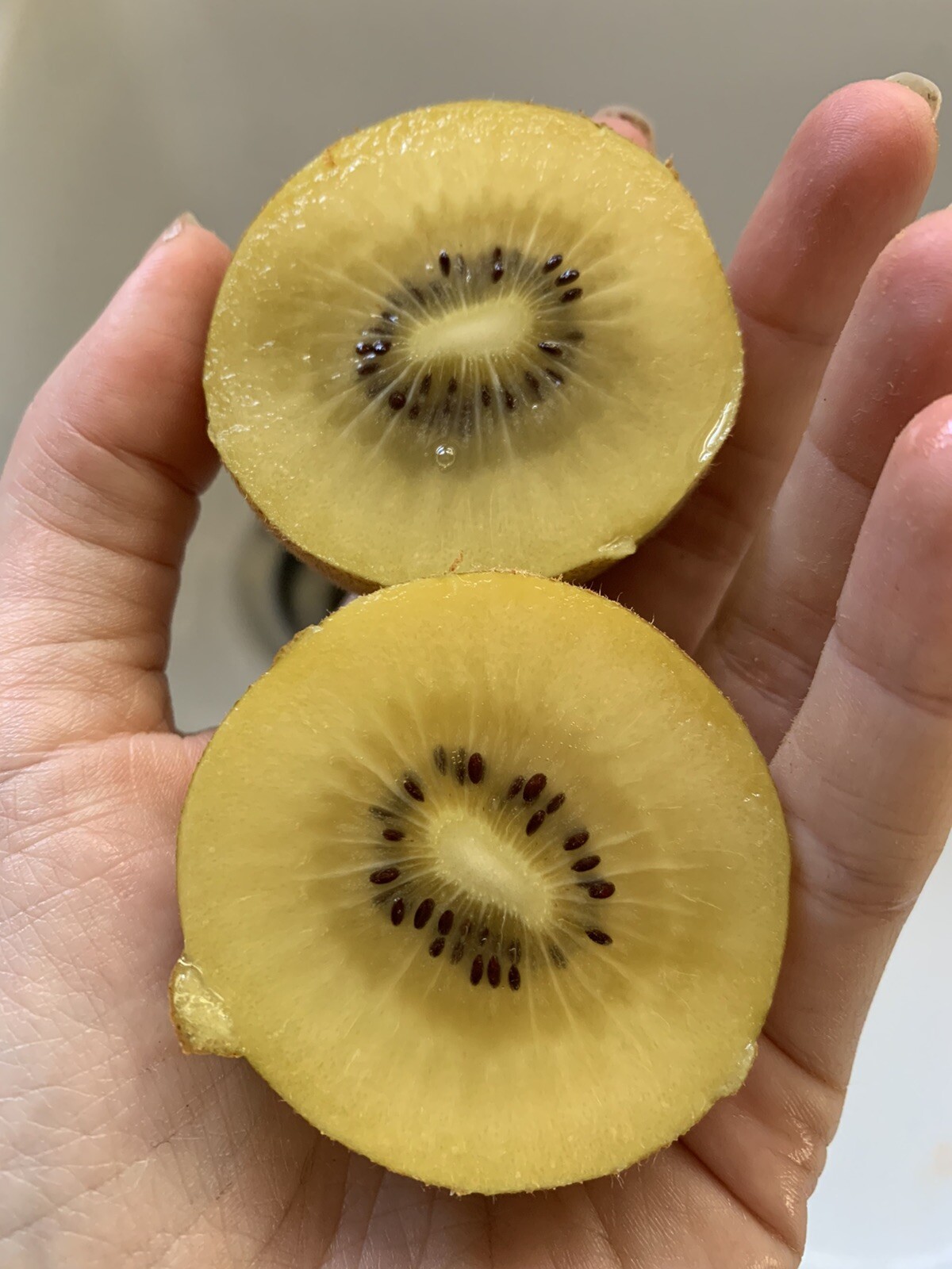 50 GOLDEN KIWI FRUIT Seeds Yellow Actinidia Rare Gooseberry Organic NonGMO Grow