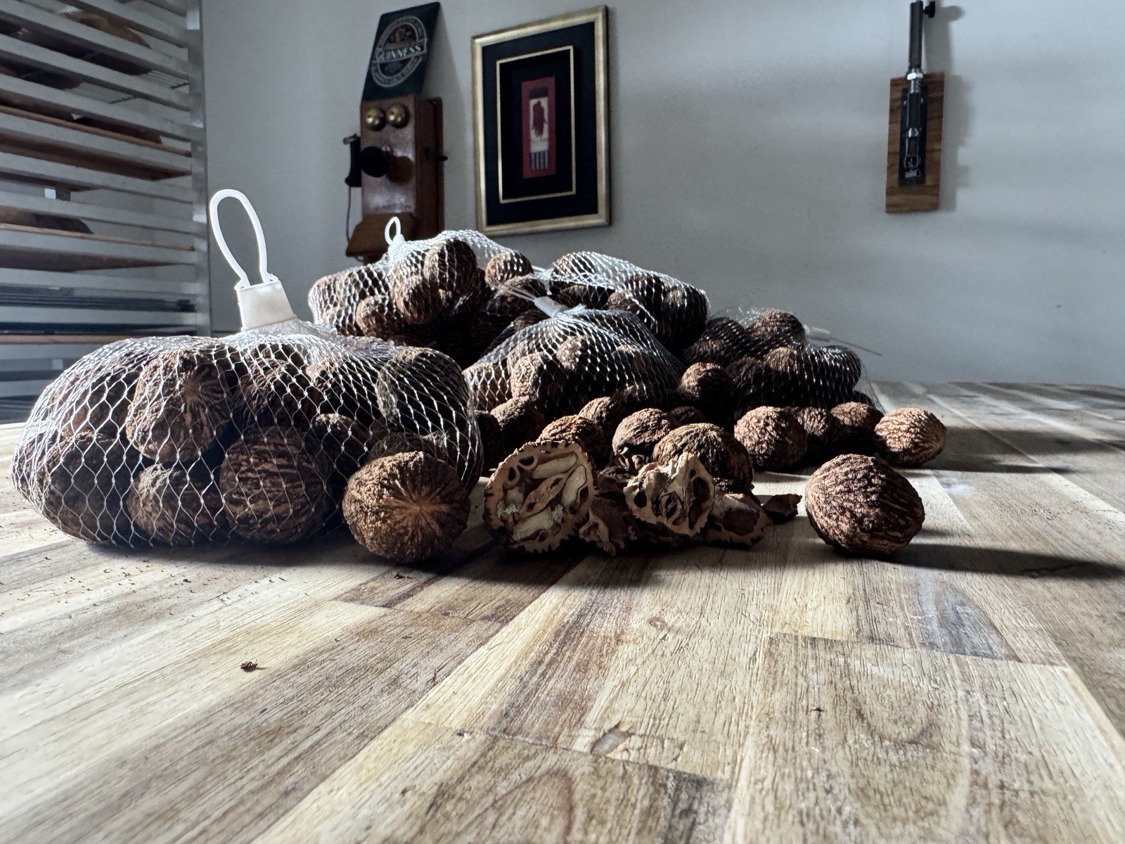 1 lb. Black Walnuts for seed propagation.