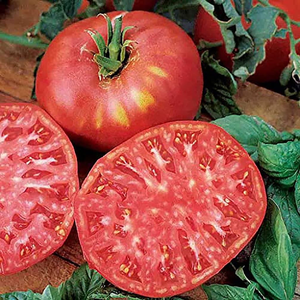 Pink Brandywine Tomato Seeds for Planting – Heirloom, Large & Juicy – One of …
