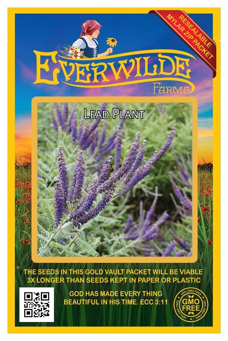 1 Oz Lead Plant Wildflower Seeds – Everwilde Farms Mylar Seed Packet