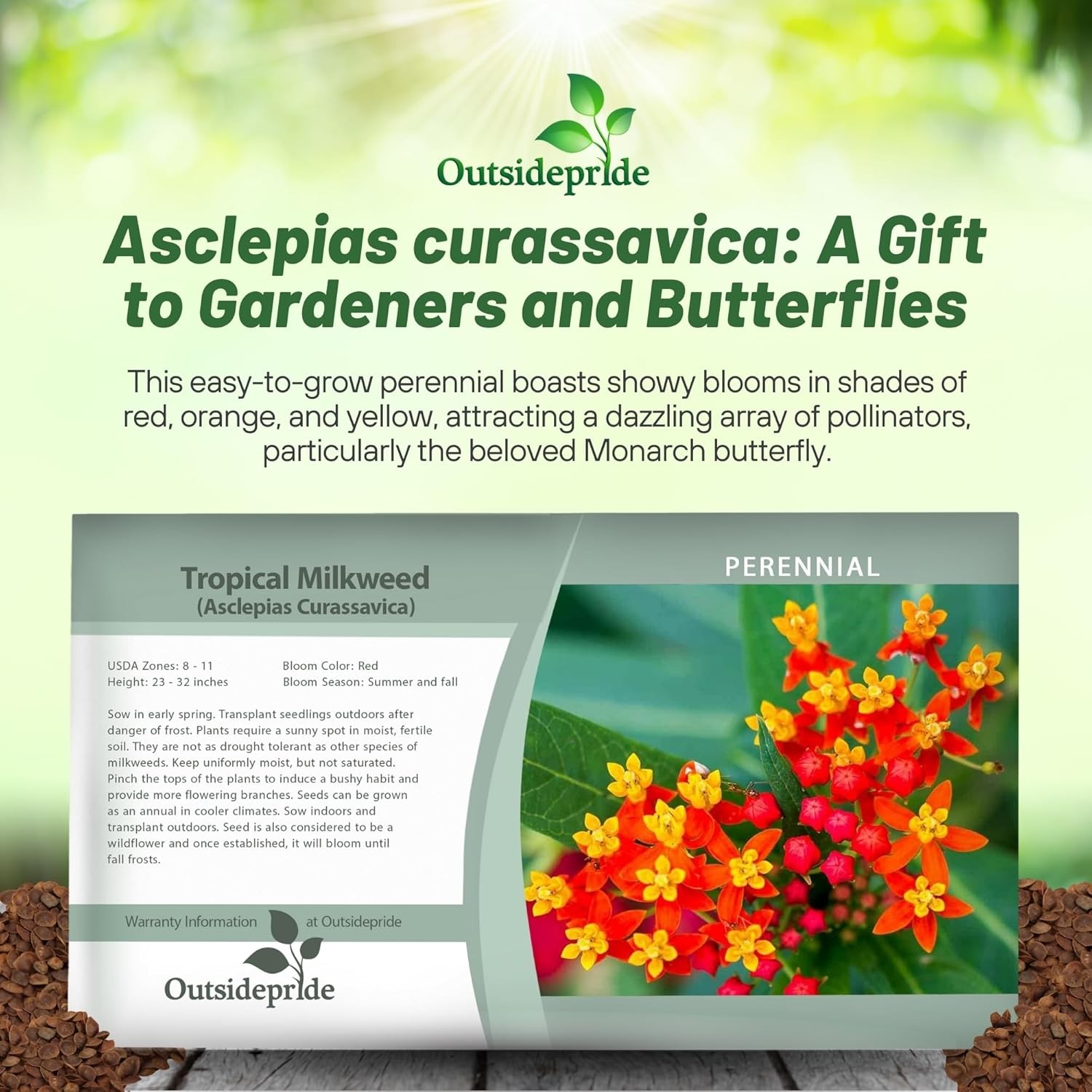 1000 Seeds Red Mexican Butterfly Weed For Planting Outdoors | Tropical