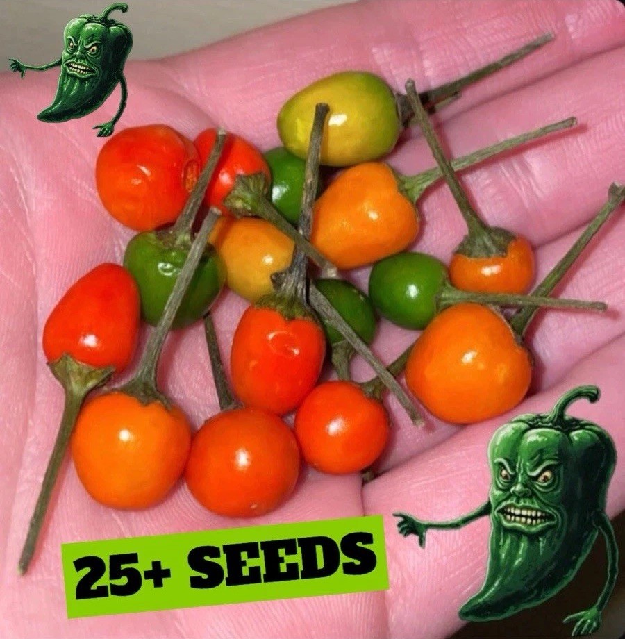 [CHILTEPIN] PEPPER SEEDS PACK OF 25+ FREE SHIPPING!