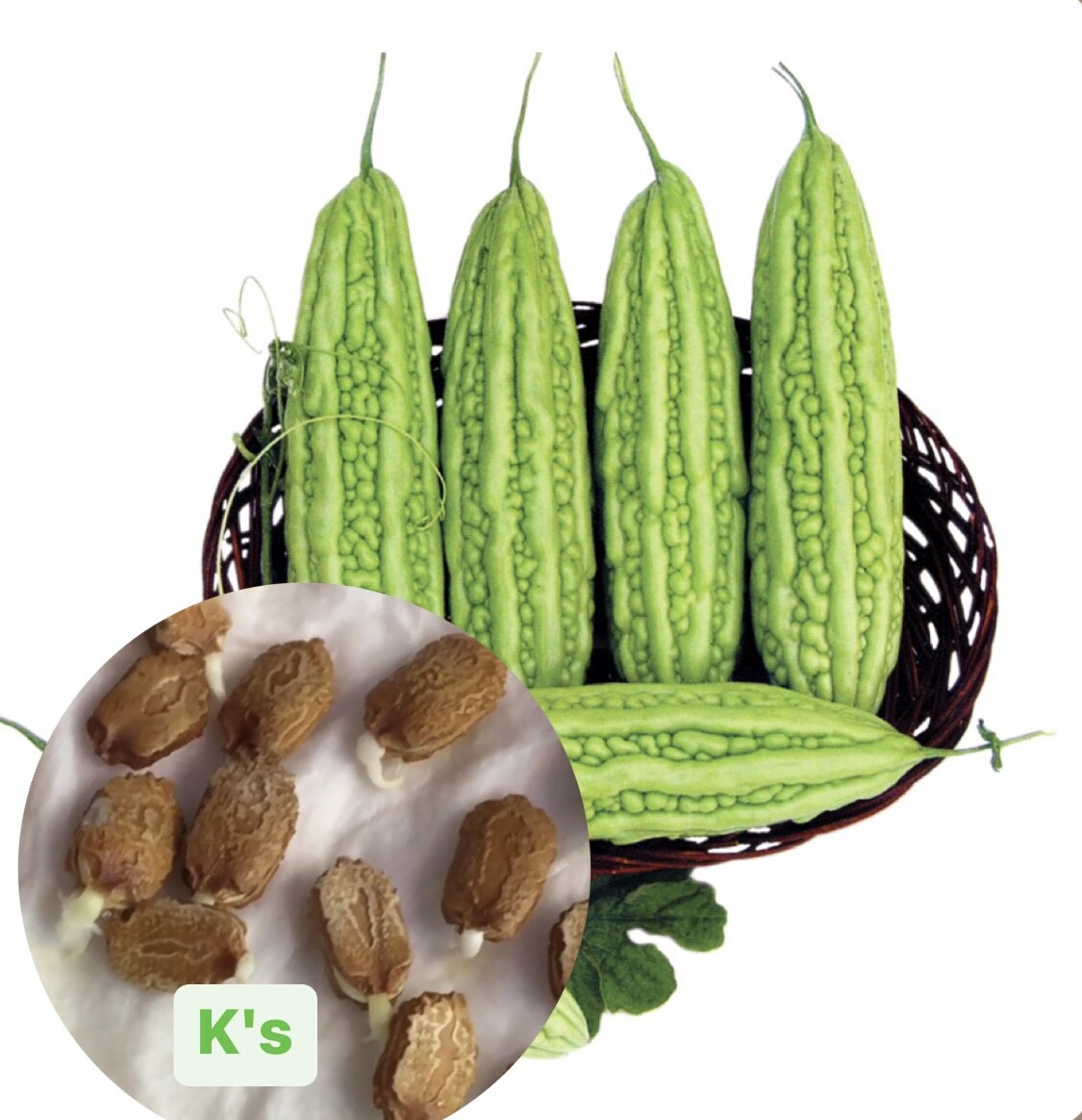 GREEN BITTER MELON, BALSAM PEAR, KU GUA, FOO GWAH, KHỔ QUA MỠ TRÁI DÀI, 苦瓜, 여주