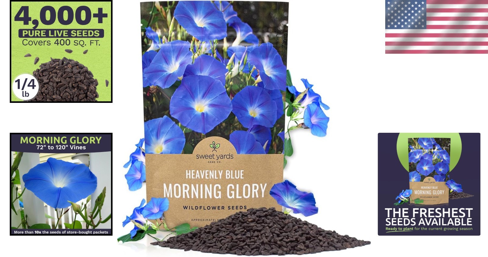 Heavenly Blue Morning Glory Seeds – Bulk 1/4 Pound, Ideal for Summer Gardens