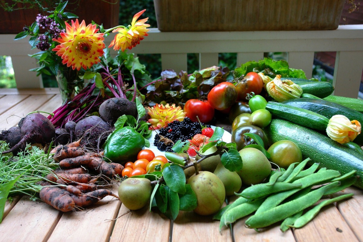 55,000 Seed; 126 Heirloom Variety Garden Survival Seed Cache + $30 HERB PACK