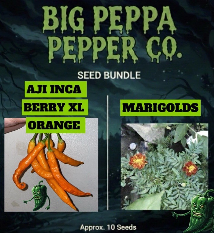 [AJI INCA BERRY XL ORANGE & MARIGOLDS] COMPANION PLANTING SEED BUNDLE