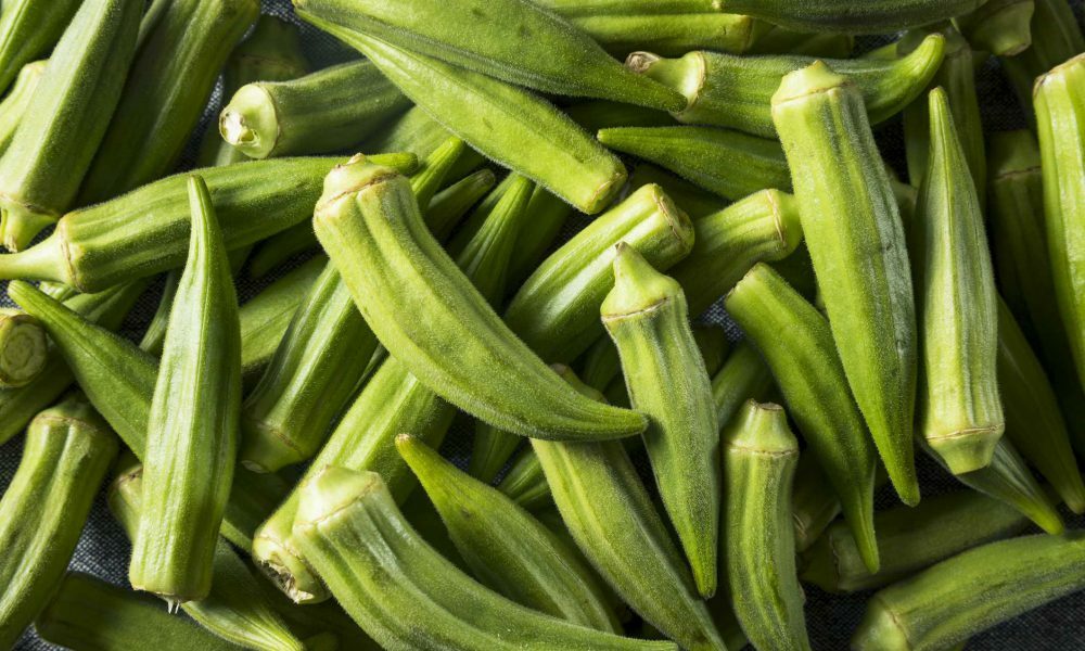 50+ Green OKRA SEED, HEIRLOOM, ORGANIC, NON GMO, 2021 harvest US grower
