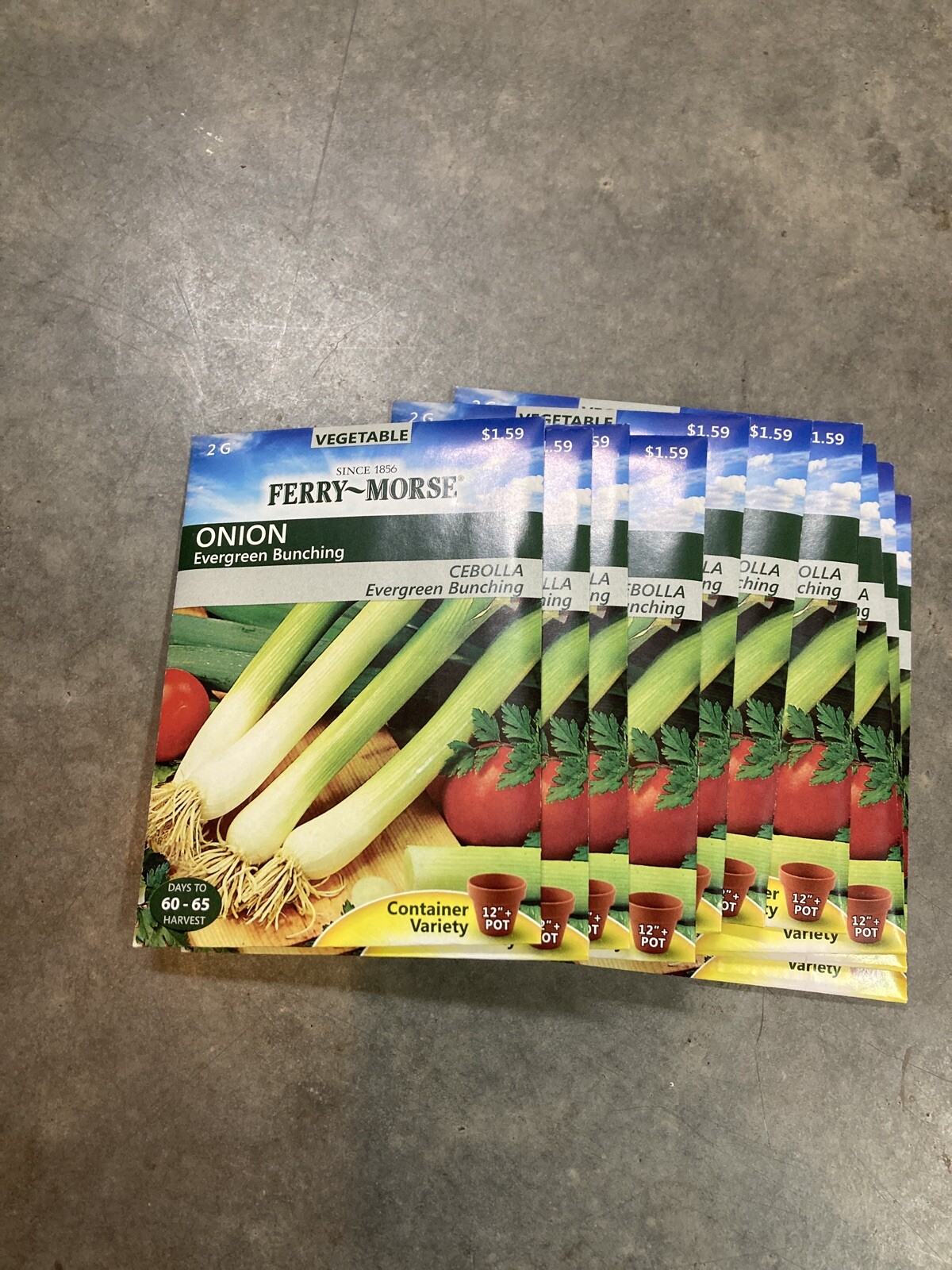 10 Ferry Morse Onion Evergreen Bunching Seed Packs Vegetable Free Shipping