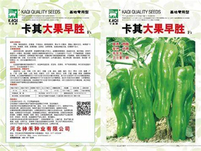 Mild Spice Pepper Seeds 100+ 卡其大果早胜 2025新种子