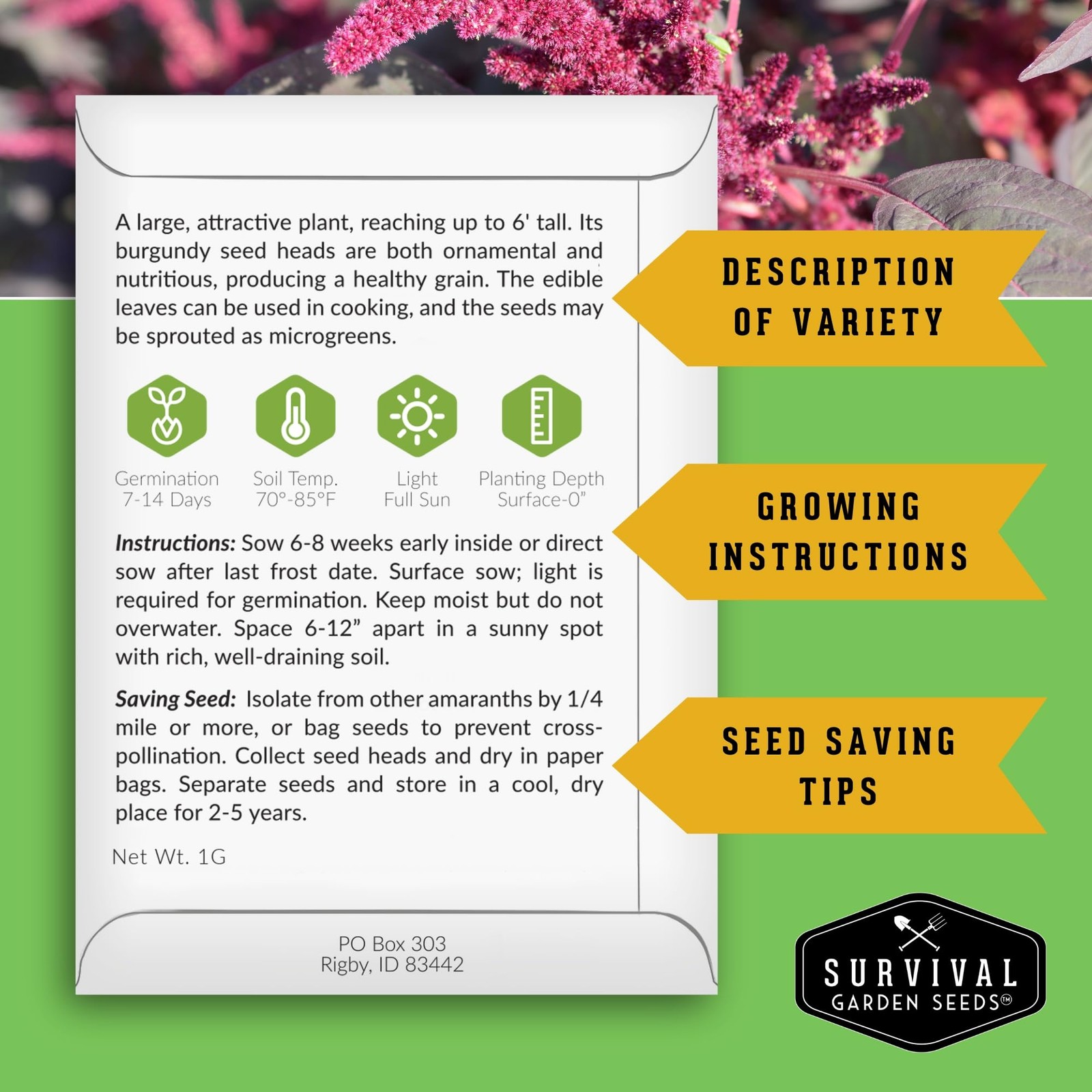 Red Amaranth Seeds Fast Growing Edible Greens for Garden or Microgreens 5