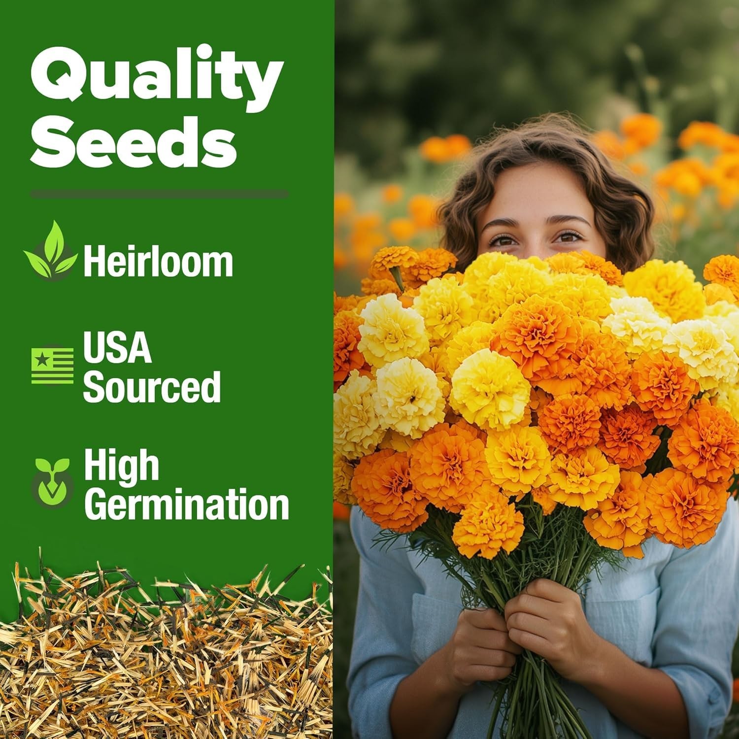 Marigold Seeds Bulk Mix – 5600+ Crackerjack Marigold Flower Seeds for Planting O