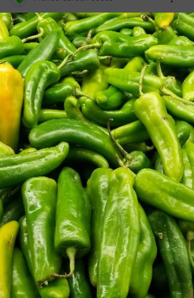 Anaheim Chile Hot Pepper Seeds, NON-GMO 75 Seeds, Chili, FREE SHIPPING