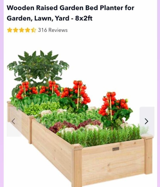 Raised Garden