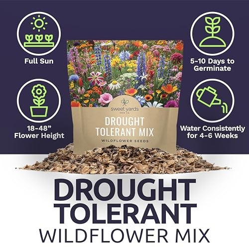 Drought Tolerant Wildflowers Mix – Extra Large Packet – Over 1 Ounce Pouch