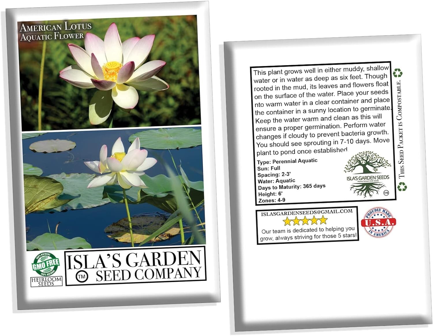 Native US Wildflower Seeds – American Lotus Perennials for Outdoor Water Gardens