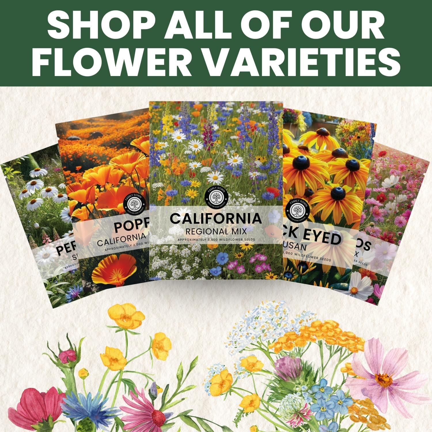 California Wildflower Seed Collection – 79,000 Seeds for Low-Maintenance Beauty
