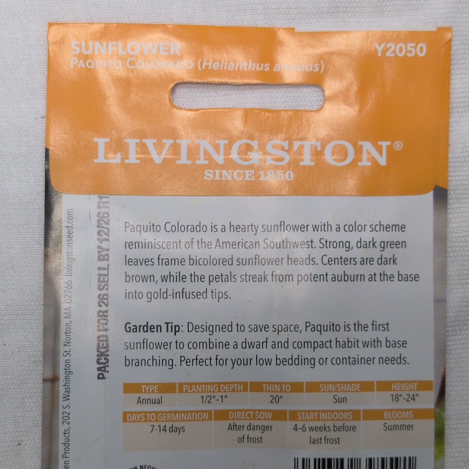 Livingston Sunflower Paquito Colorado Annual Dwarf Yellow Red Full Sun Y2050