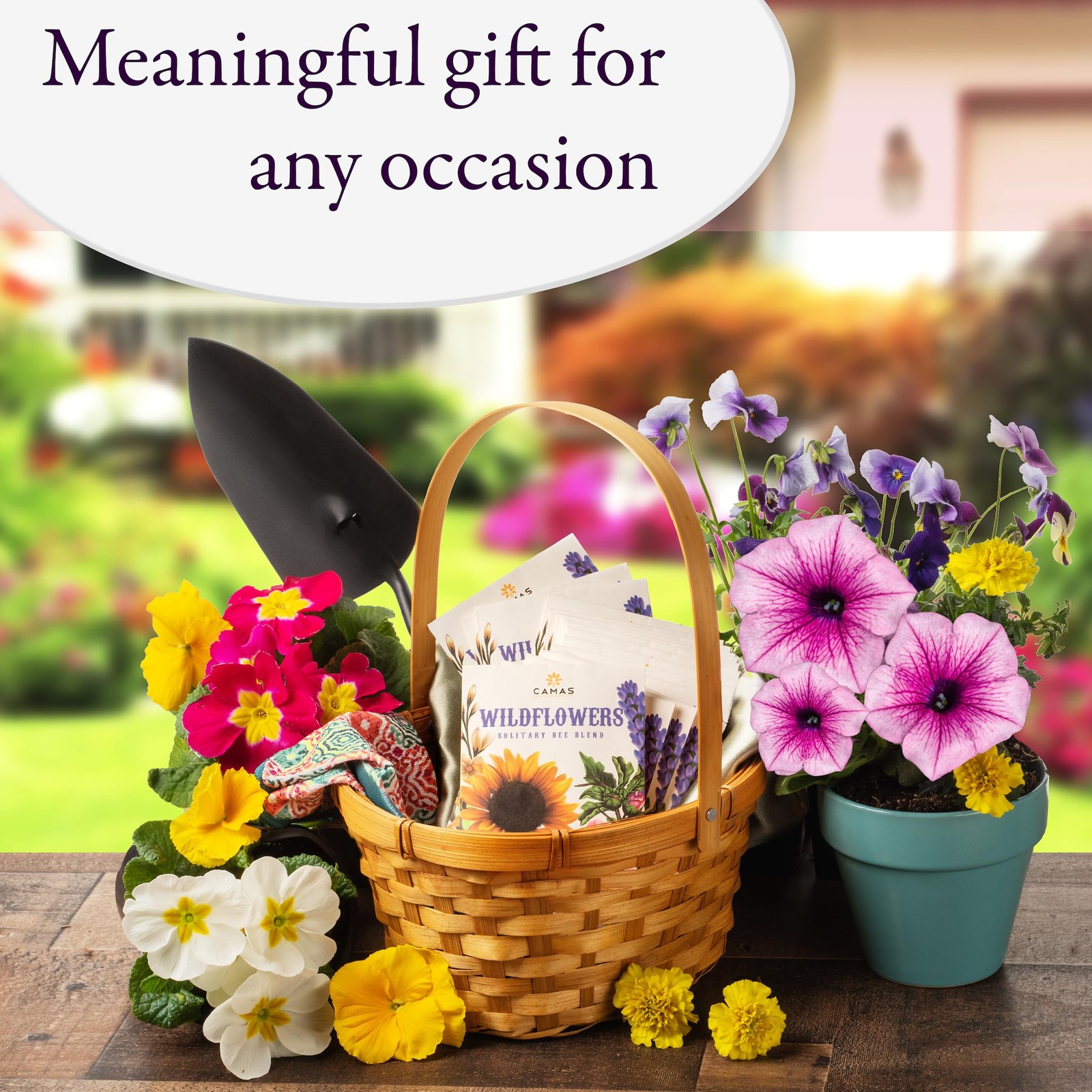Wildflower Seed Packets 20 Bee Butterfly Hummingbird Garden Annual Mix