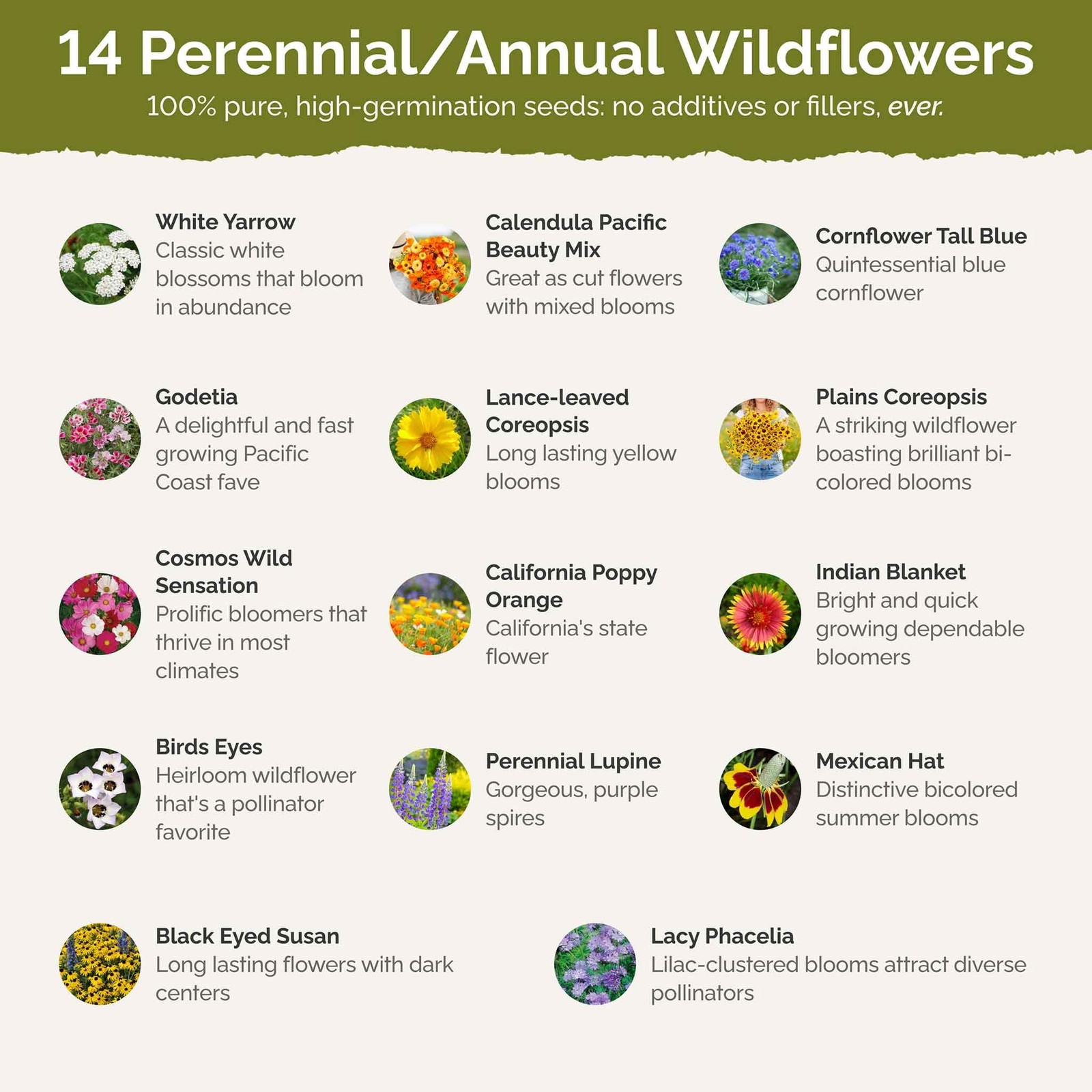 Wildflower Mixed Seeds for Planting, 1 lb, Attract Pollinators, Zones 3-10