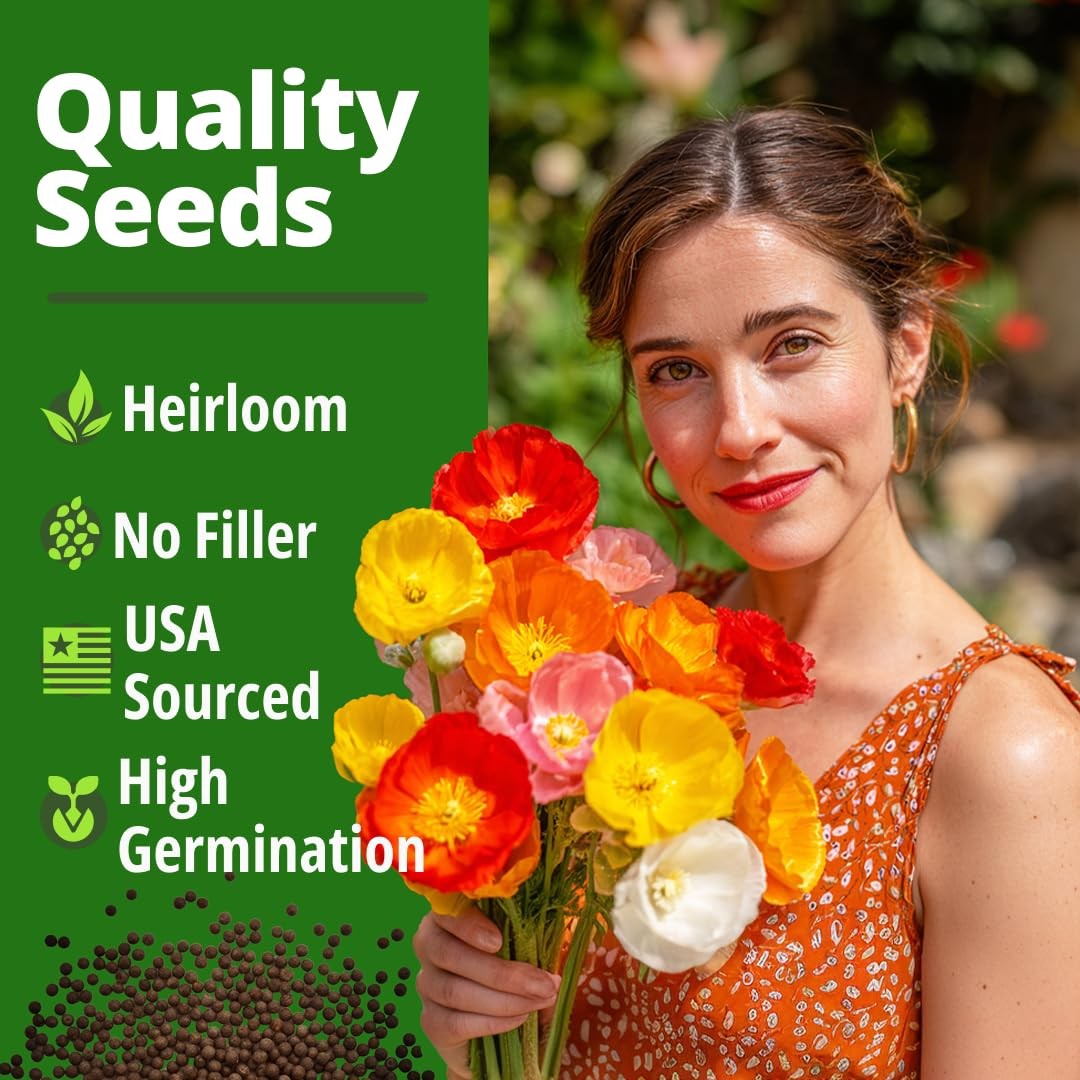 California Poppy Seeds 2200 DroughtTolerant Flower Seeds for Sunny Gardens