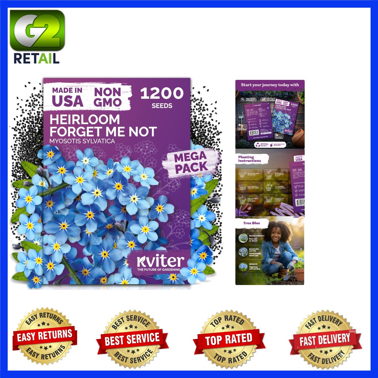 1200 Heirloom Forget Me Not Seeds – Stunning Blue Blooms for Shady Gardens
